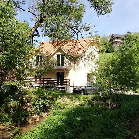 Vila Vrh Crni Vrh 外观 照片