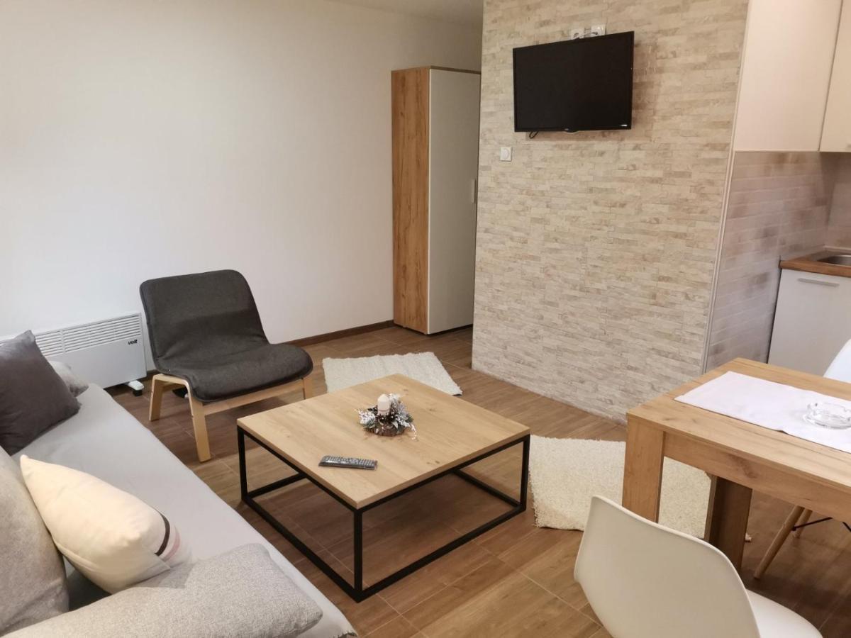 Vila Vrh Crni Vrh 外观 照片
